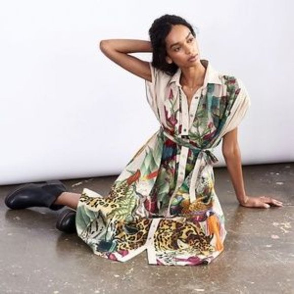 Anthropologie Dresses & Skirts - Anthropologie Carolina K Menagerie Dress S